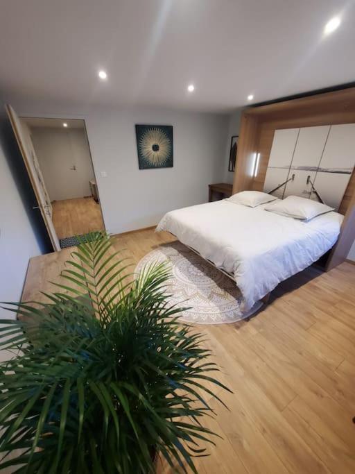 Sur Le Chemin Du Cens Apartment ออร์โวลต์ ภายนอก รูปภาพ